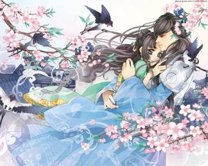 肥臀熟妇视频